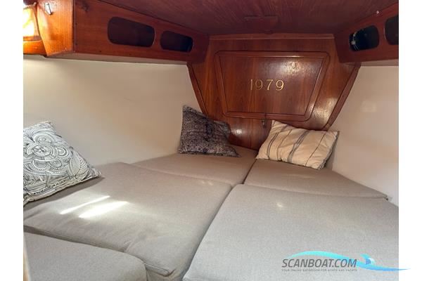 Deerberg Saphir III