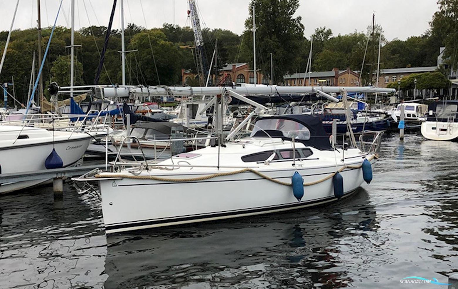 Dehler 29