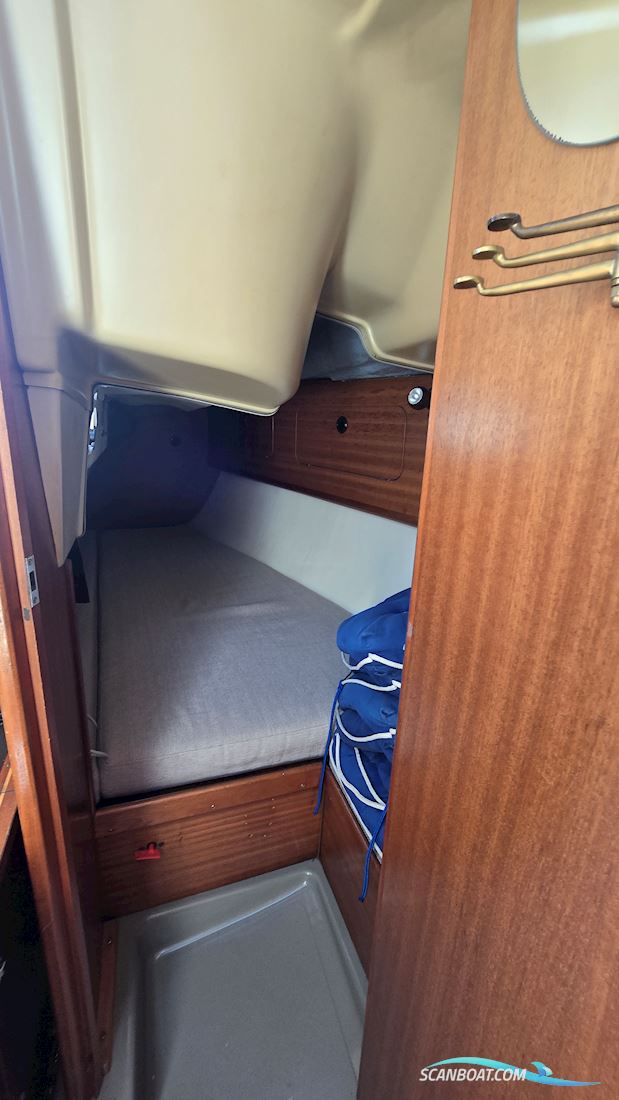 Dehler 31