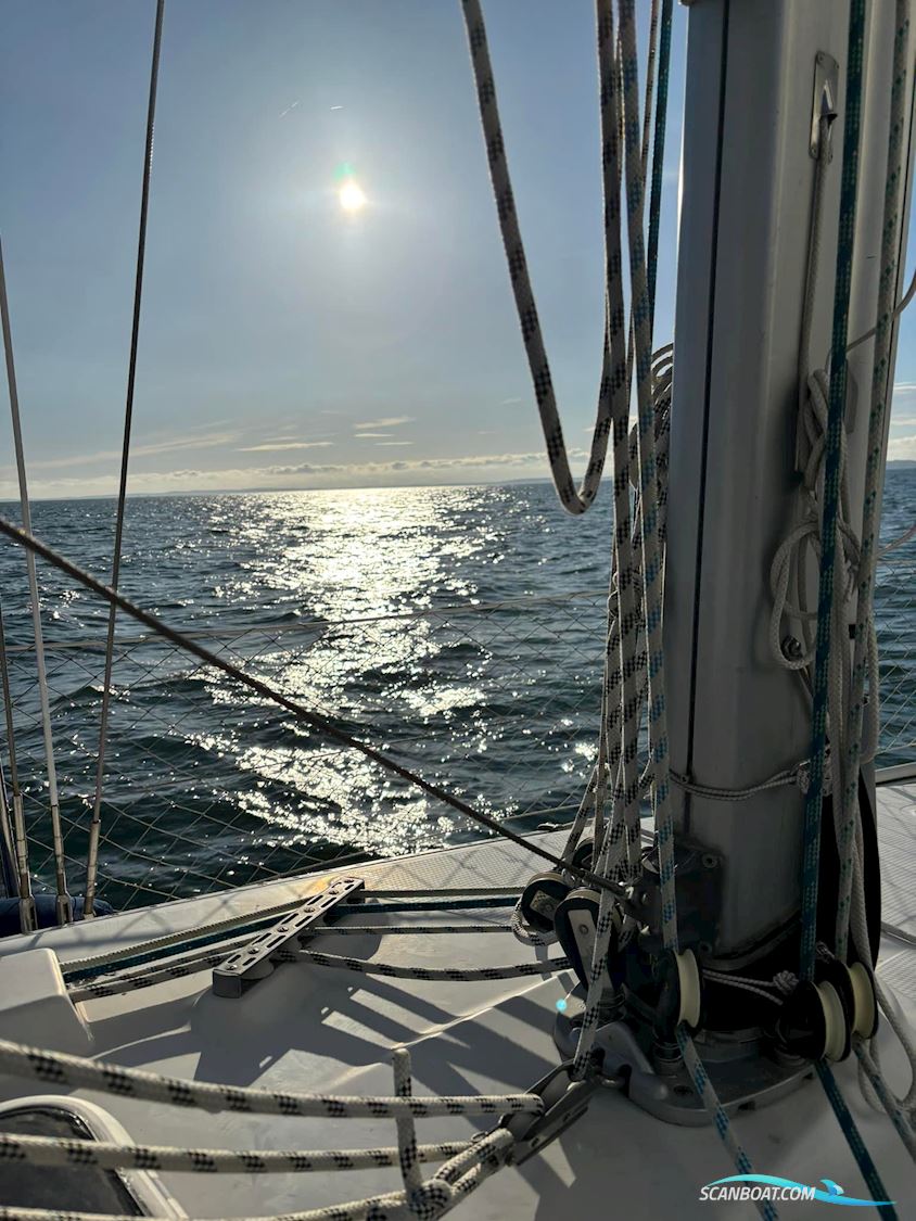 Dehler 33 Cruising