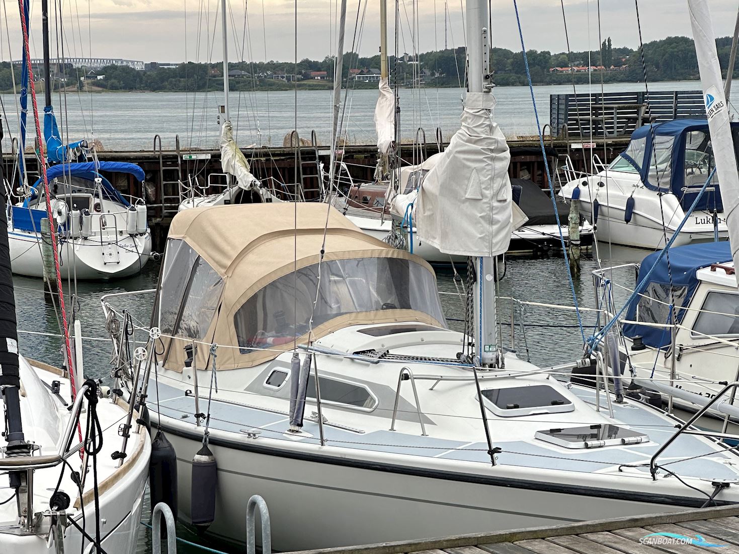Dehler 34 Nova Top