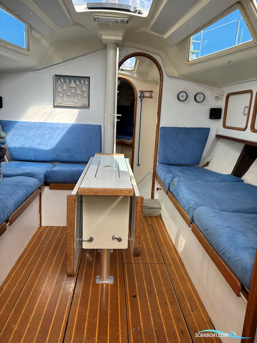 Dehler 34 Optima 101