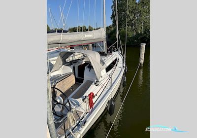 Dehler 34 Sailingboat 2022, with Yanmar engine, Germany