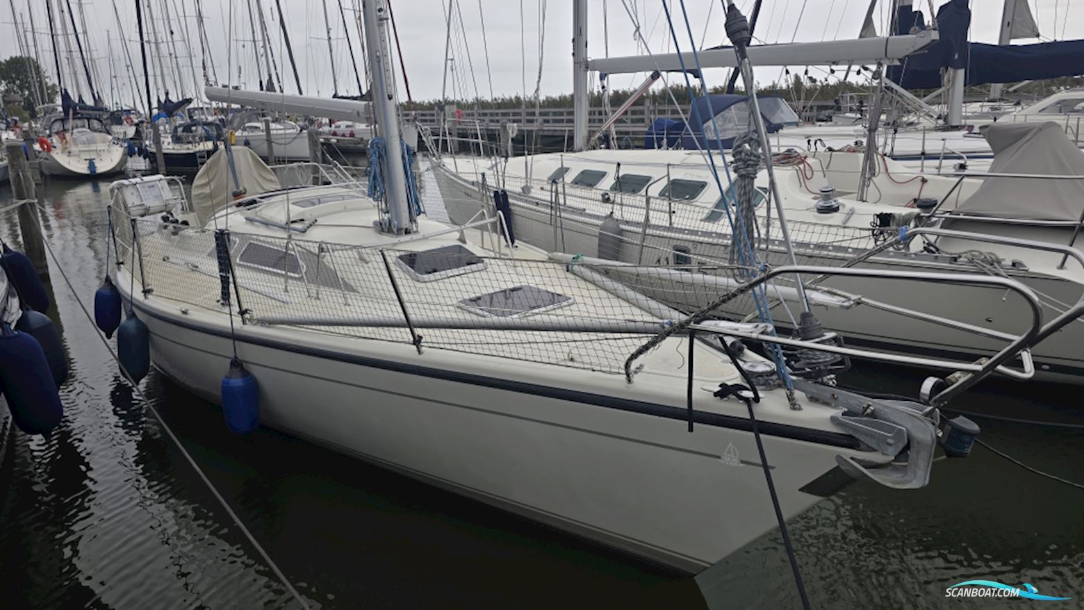 Dehler 34