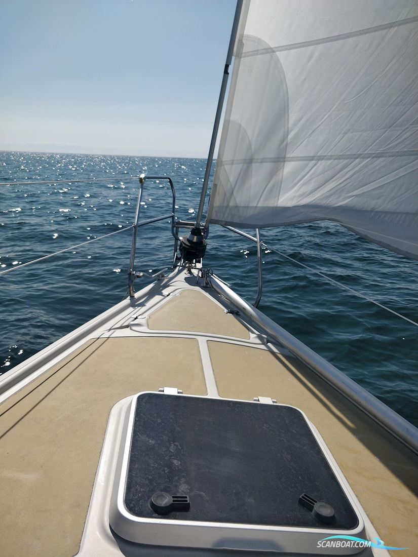 Dehler 34 Top