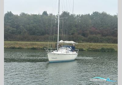 Dehler 36 cws Sailingboat 1989, The Netherlands