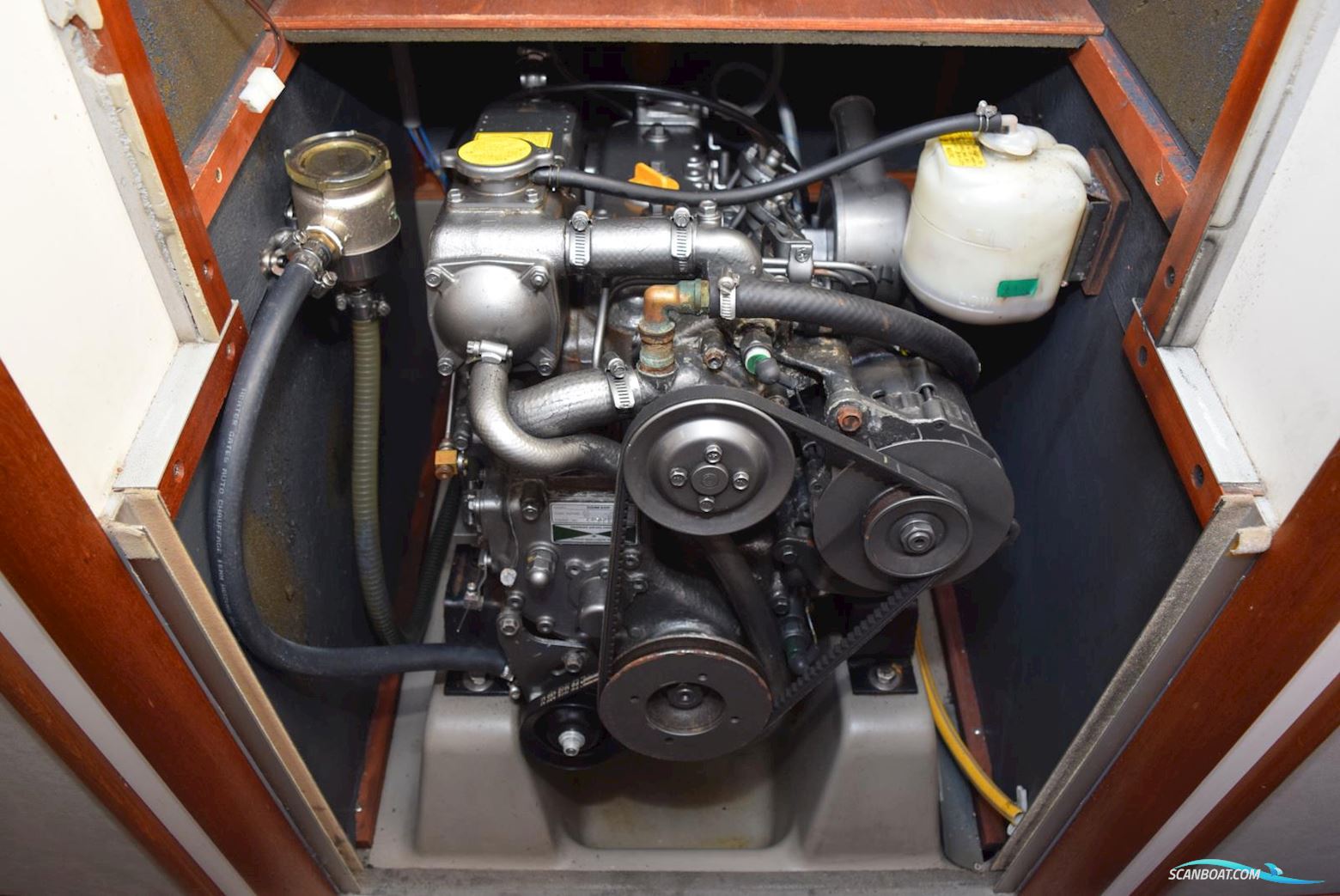 Dehler 36 Cws