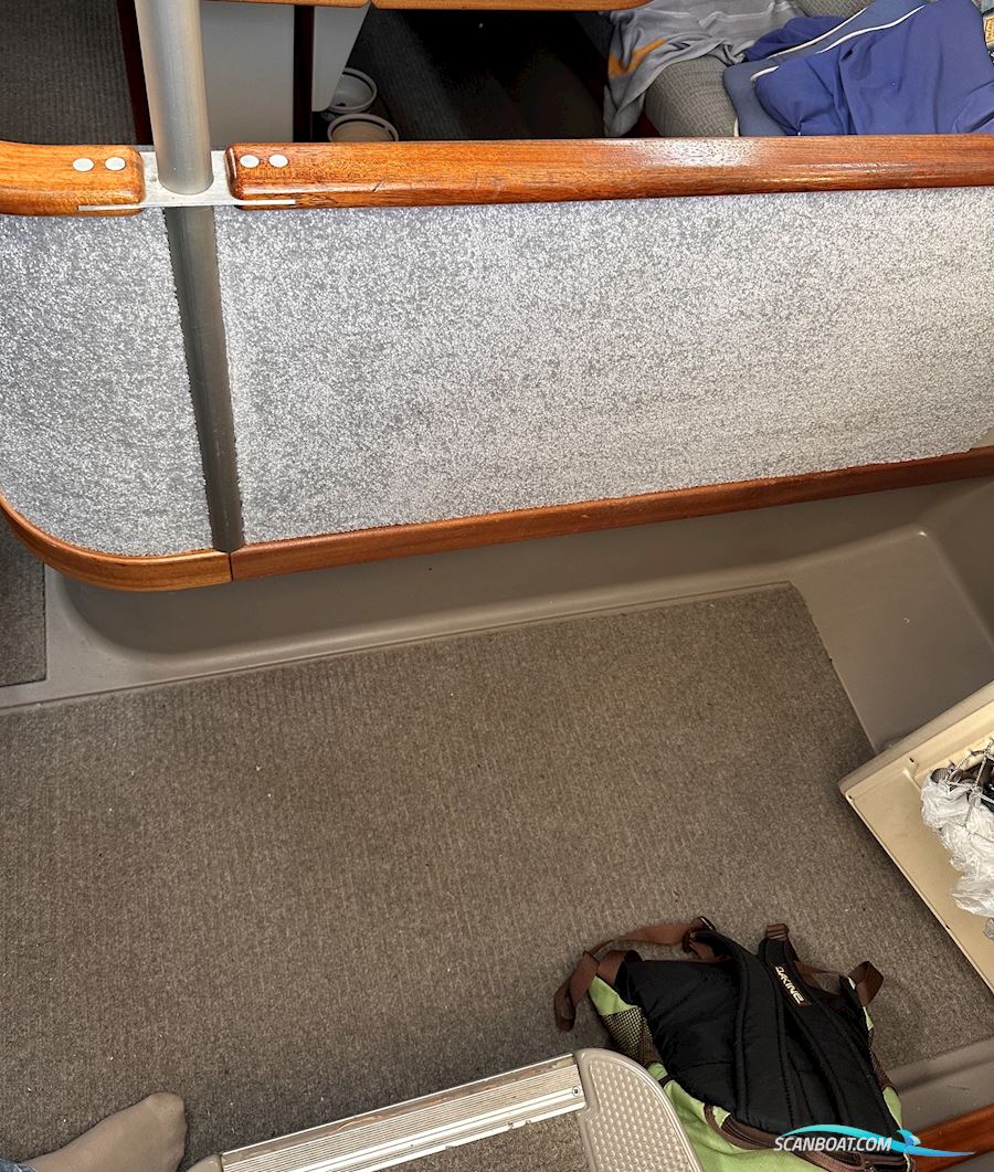 Dehler 36 Cws