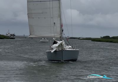 Dehler 39 SQ Carbon Rigging Sailingboat 2004, with Yanmar engine, The Netherlands