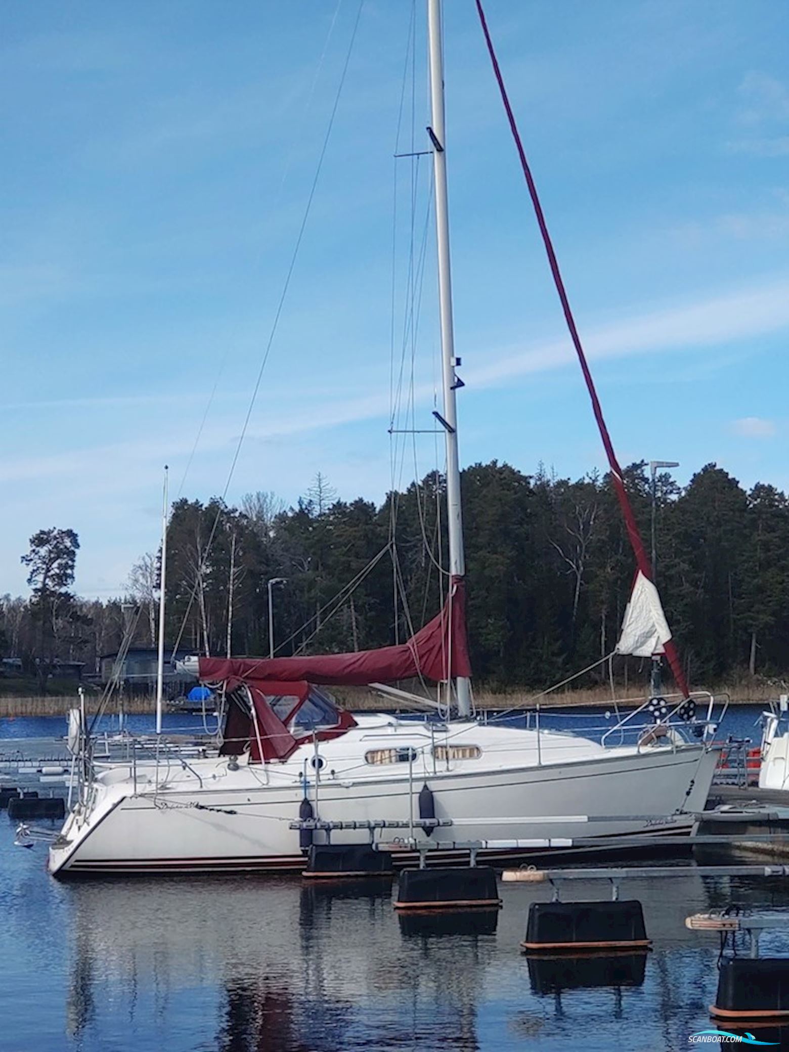 Delphia 29