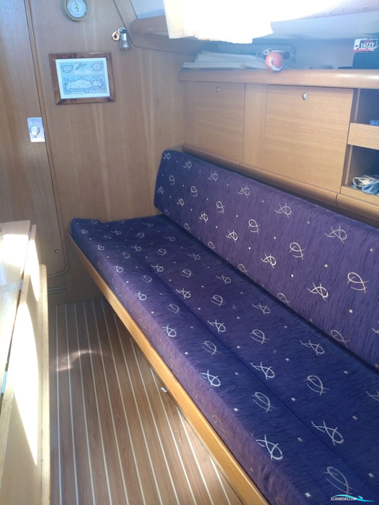 Delphia 29