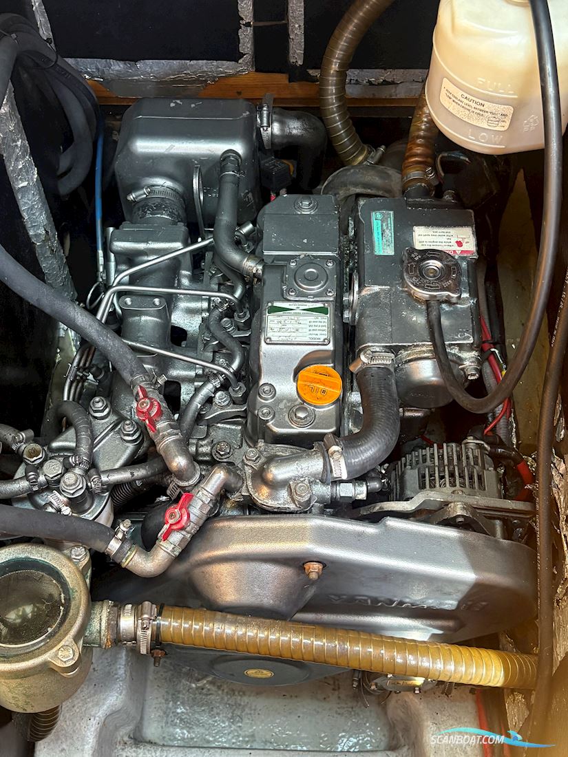 Delphia 40