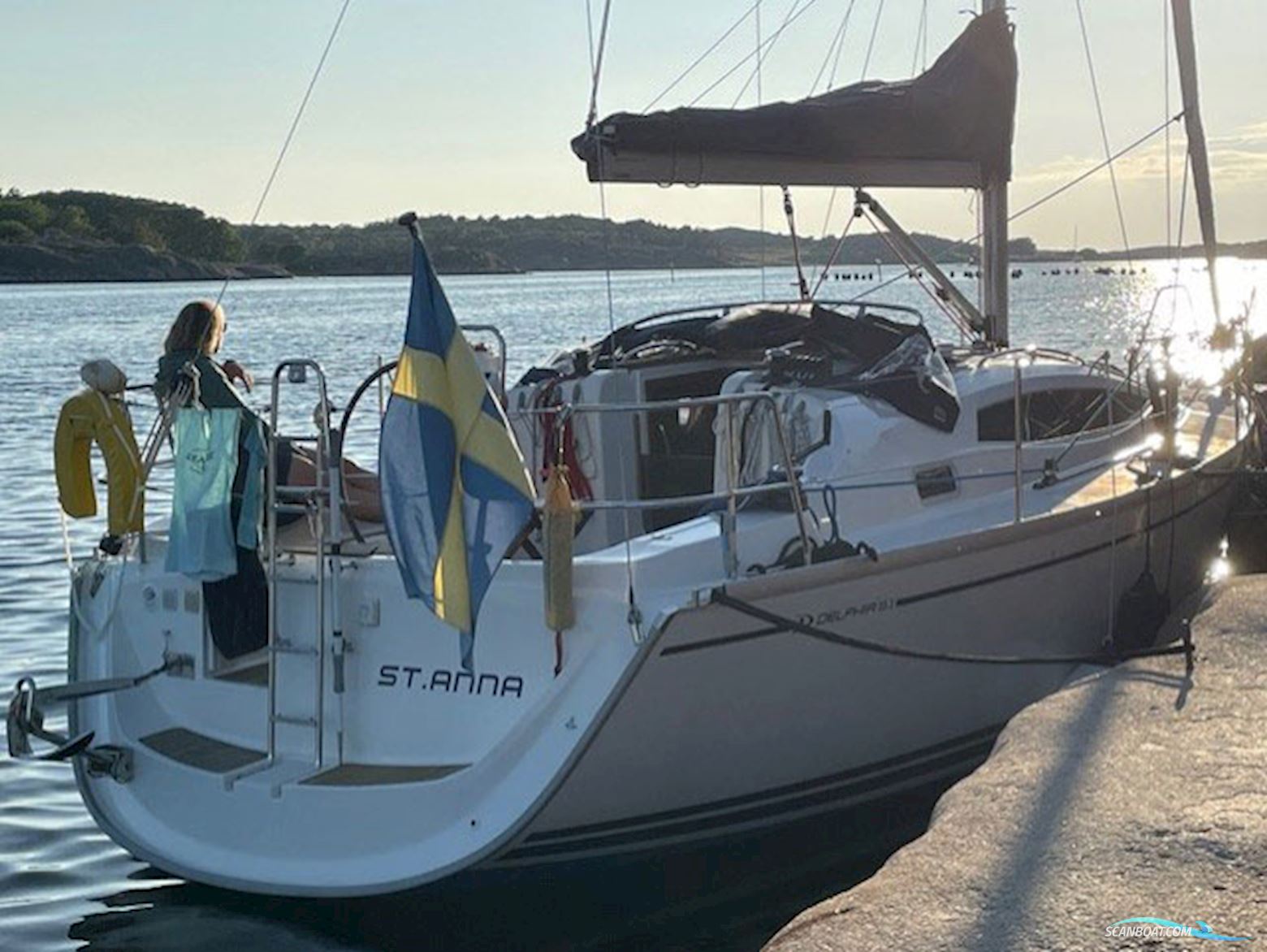 Delphia Delphia 33.3