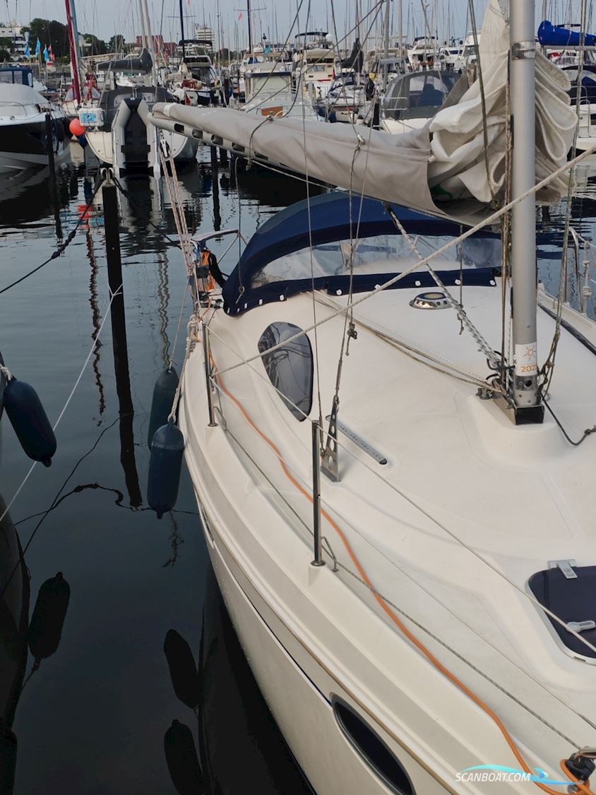 Delphia Sportina 760