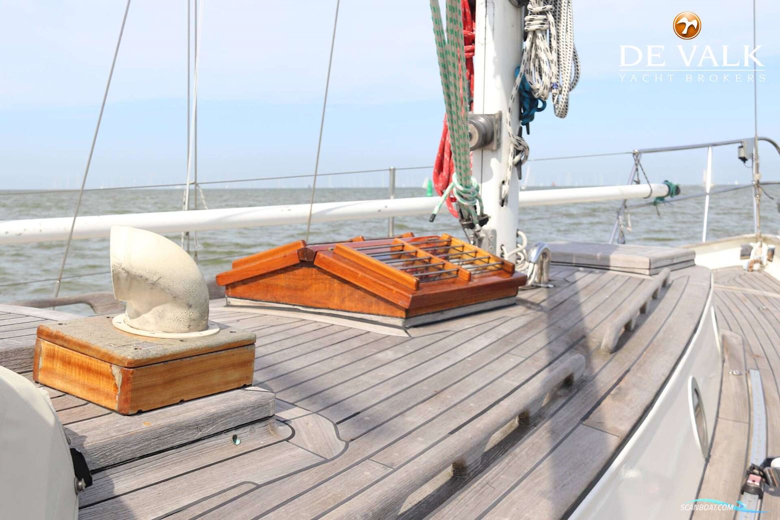 Dick Zaal Polar Bear