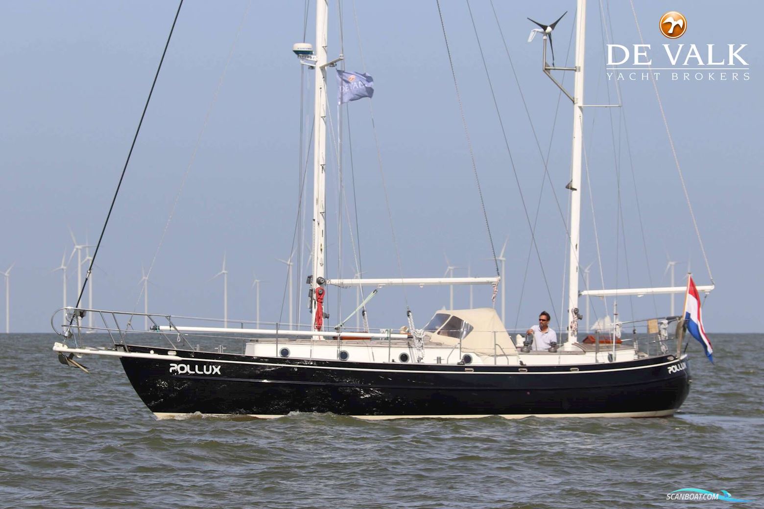 Dick Zaal Polar Bear