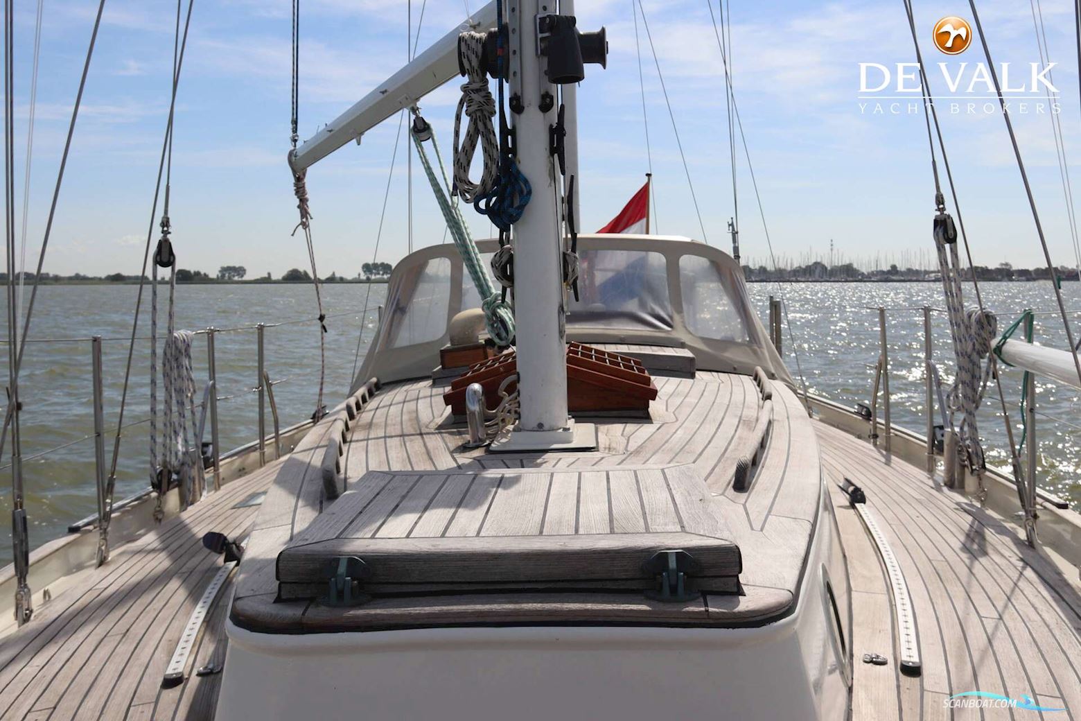 Dick Zaal Polar Bear