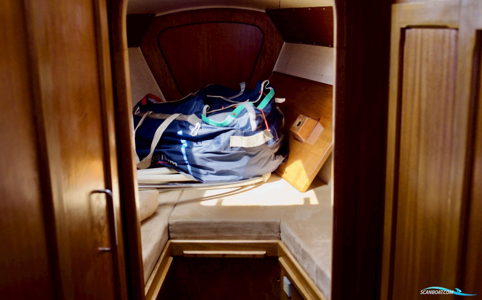 D.P. Doug Peterson 31