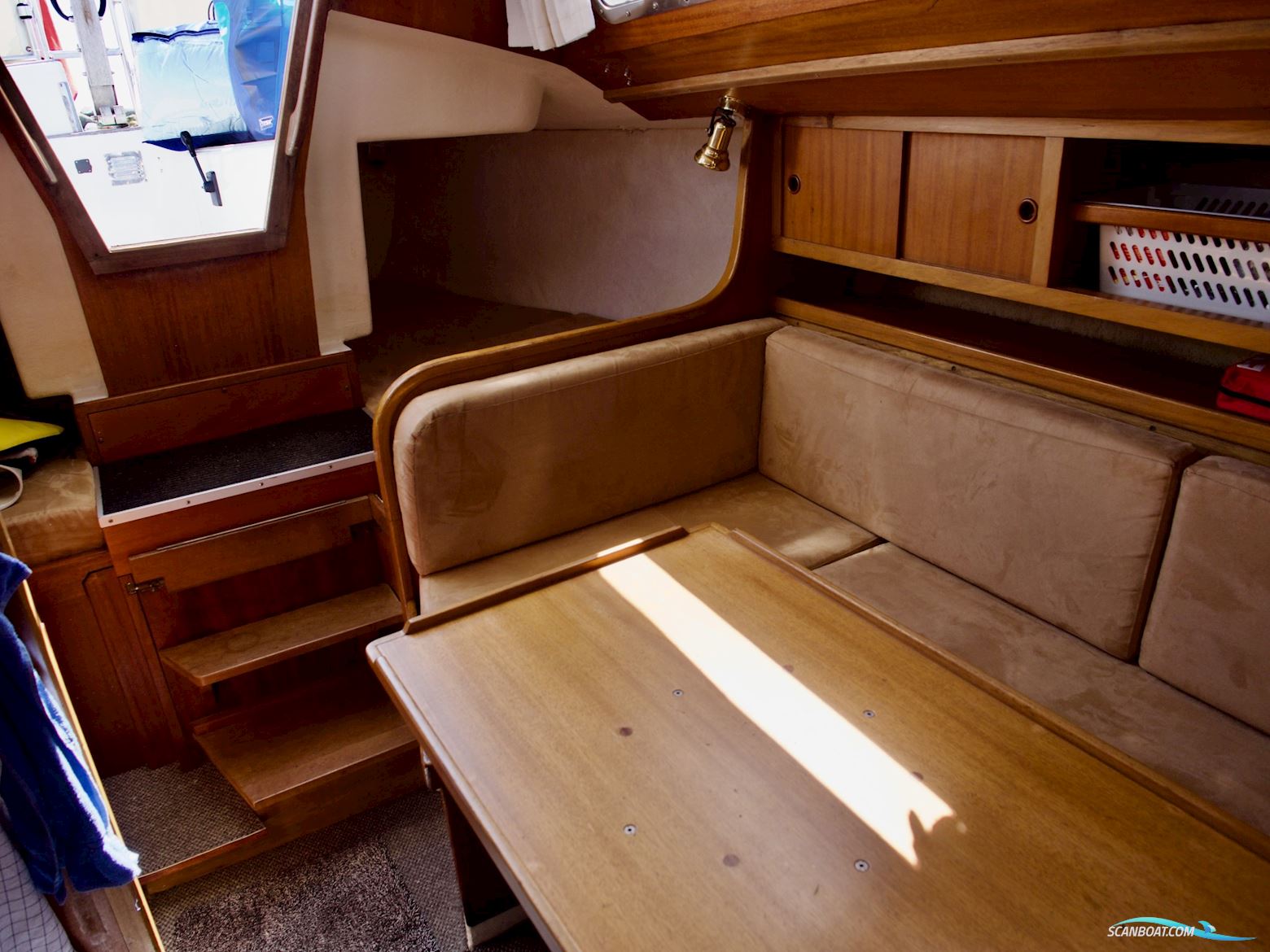 D.P. Doug Peterson 31