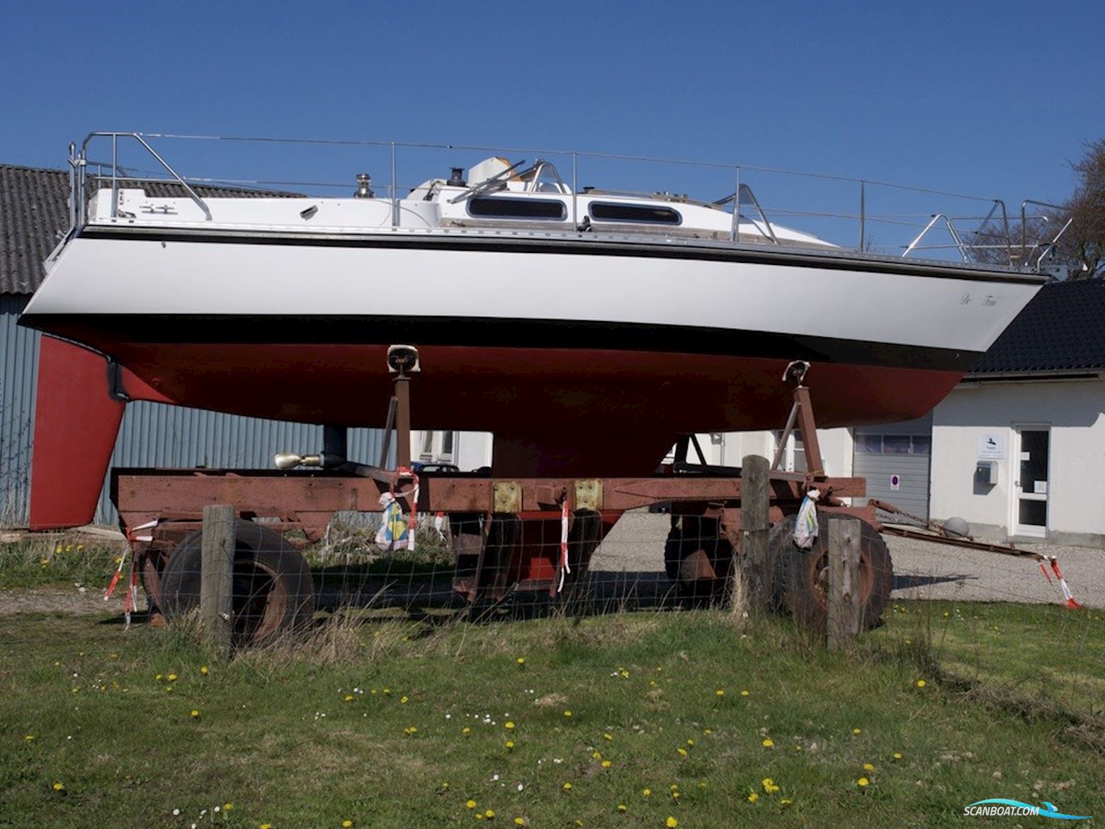 D.P. Doug Peterson 31