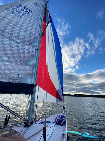 Dufour 34 Performance