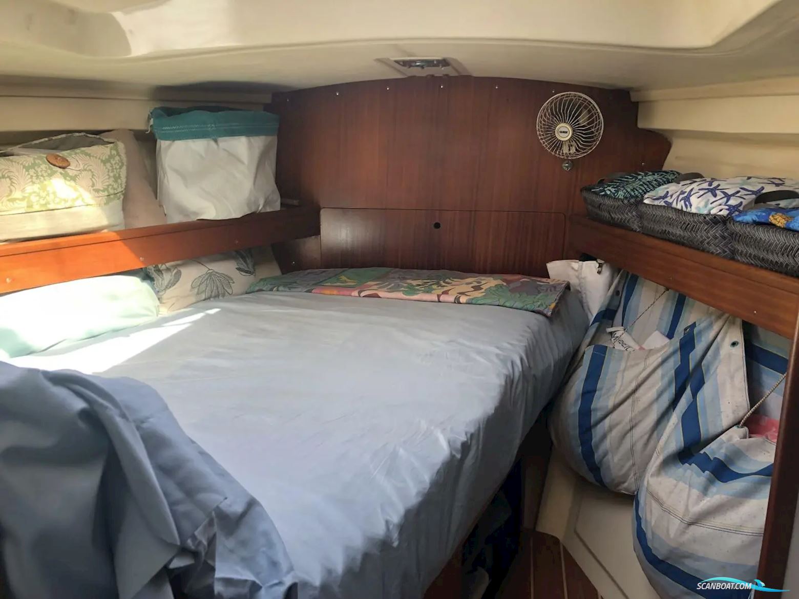 Dufour Apogee 35