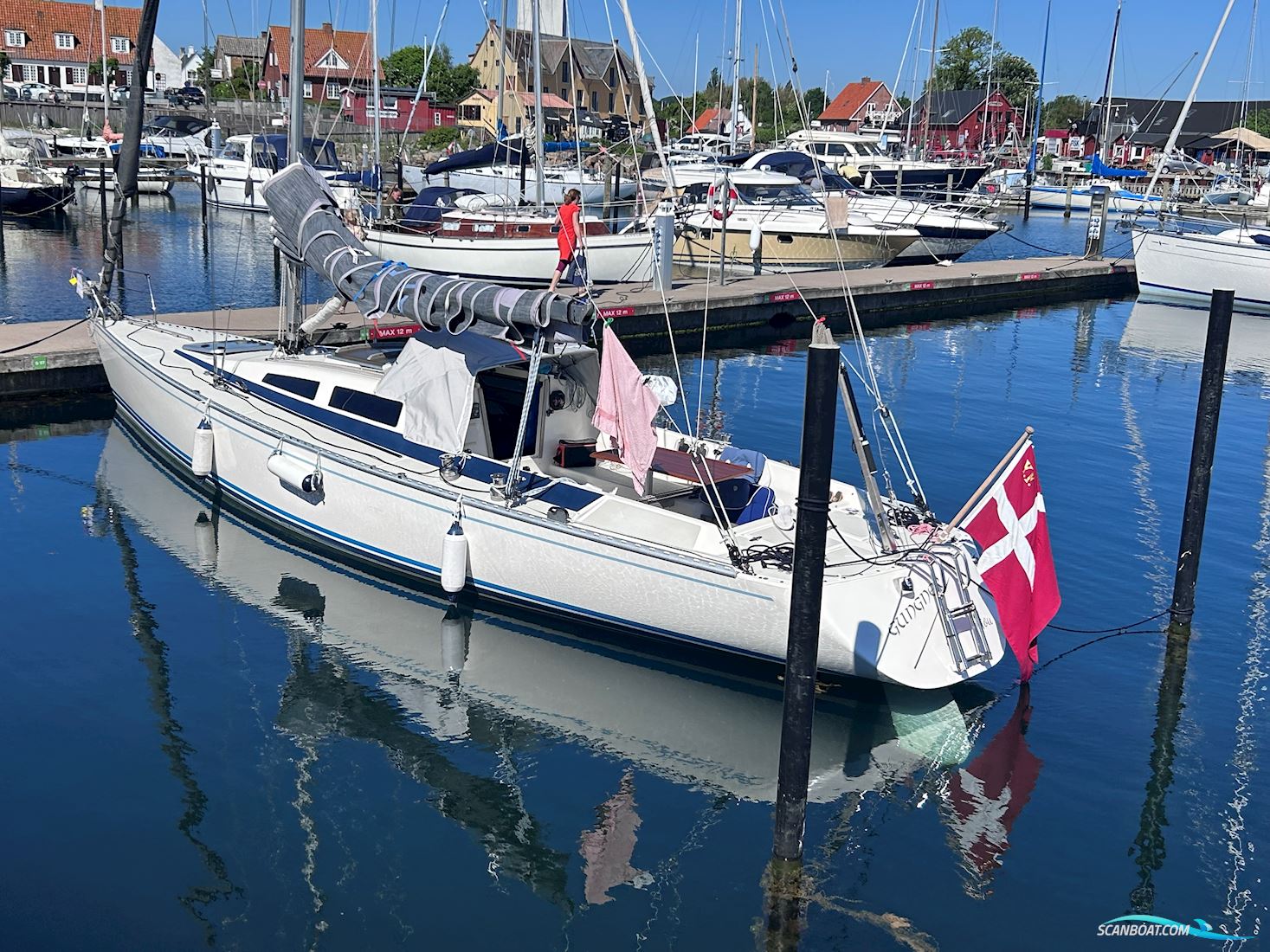 Dynamic 35