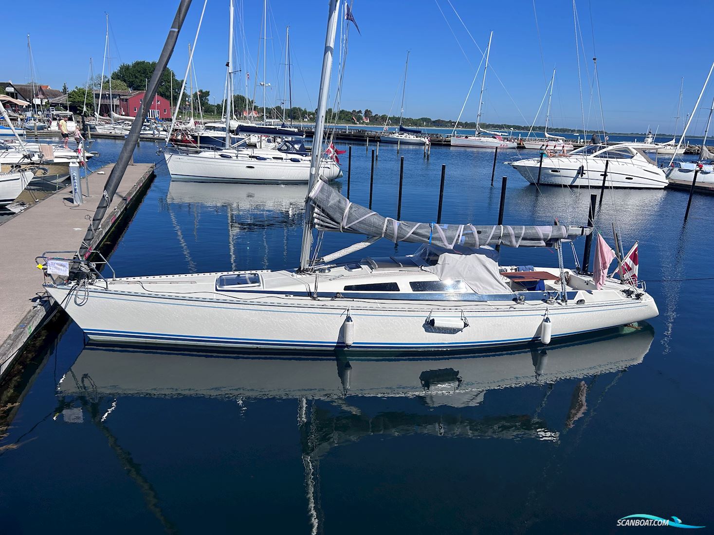 Dynamic 35