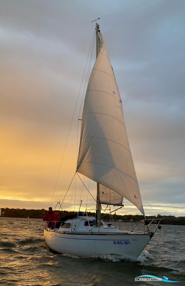 Ecume De Mer Sailingboat 1972, with Mercury 4 Stroke engine, Germany