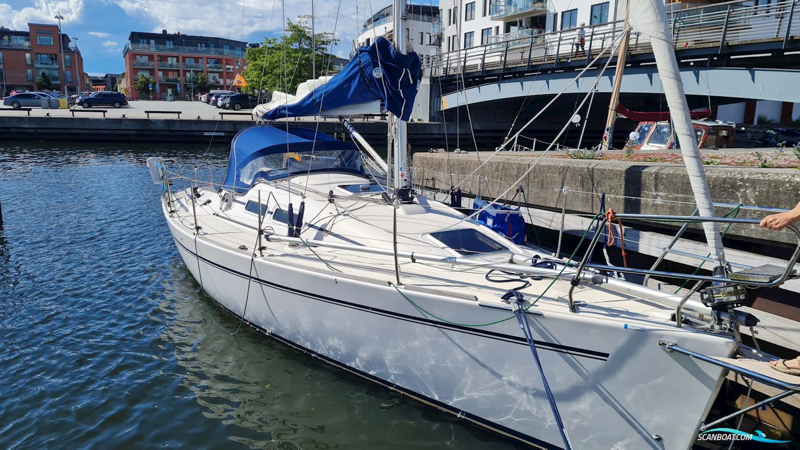 Elan 31