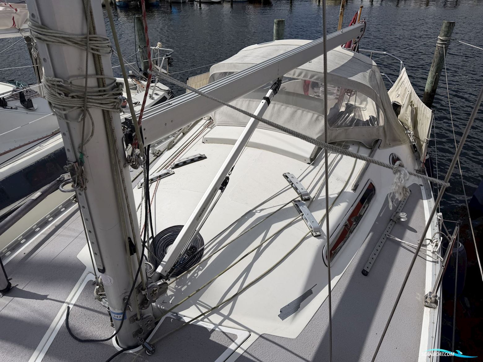Fandango 32