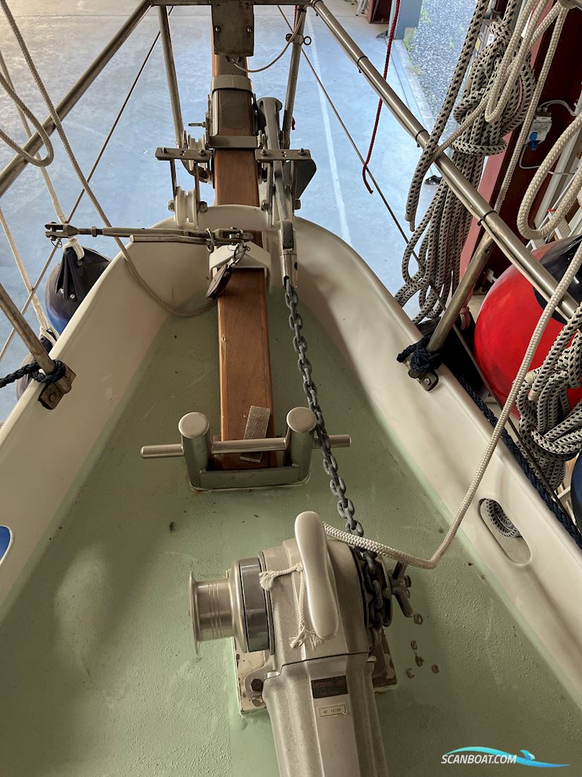 Feltz, Einzelbau, Rundspant