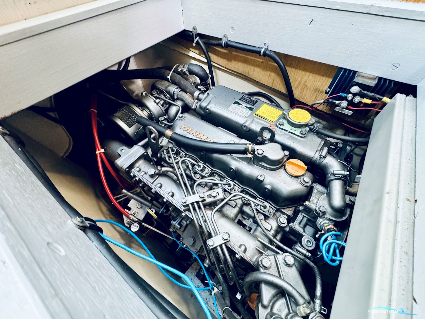 Feltz Skorpion II 2 Segelboot Segelyacht