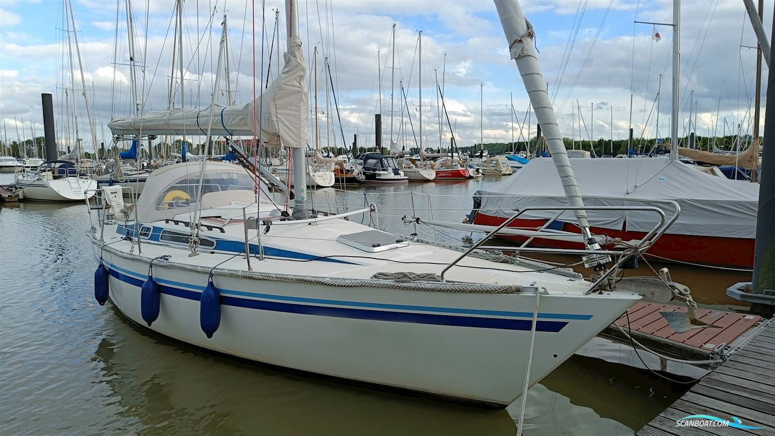 Finngulf 31