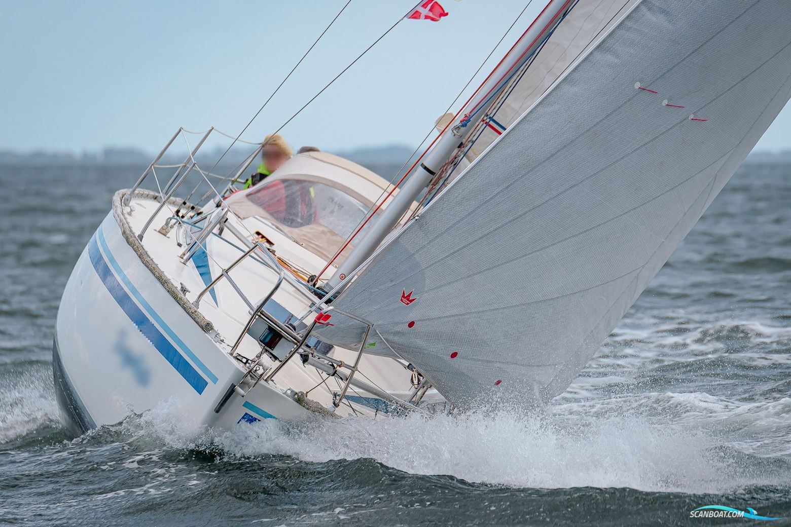Finngulf 31