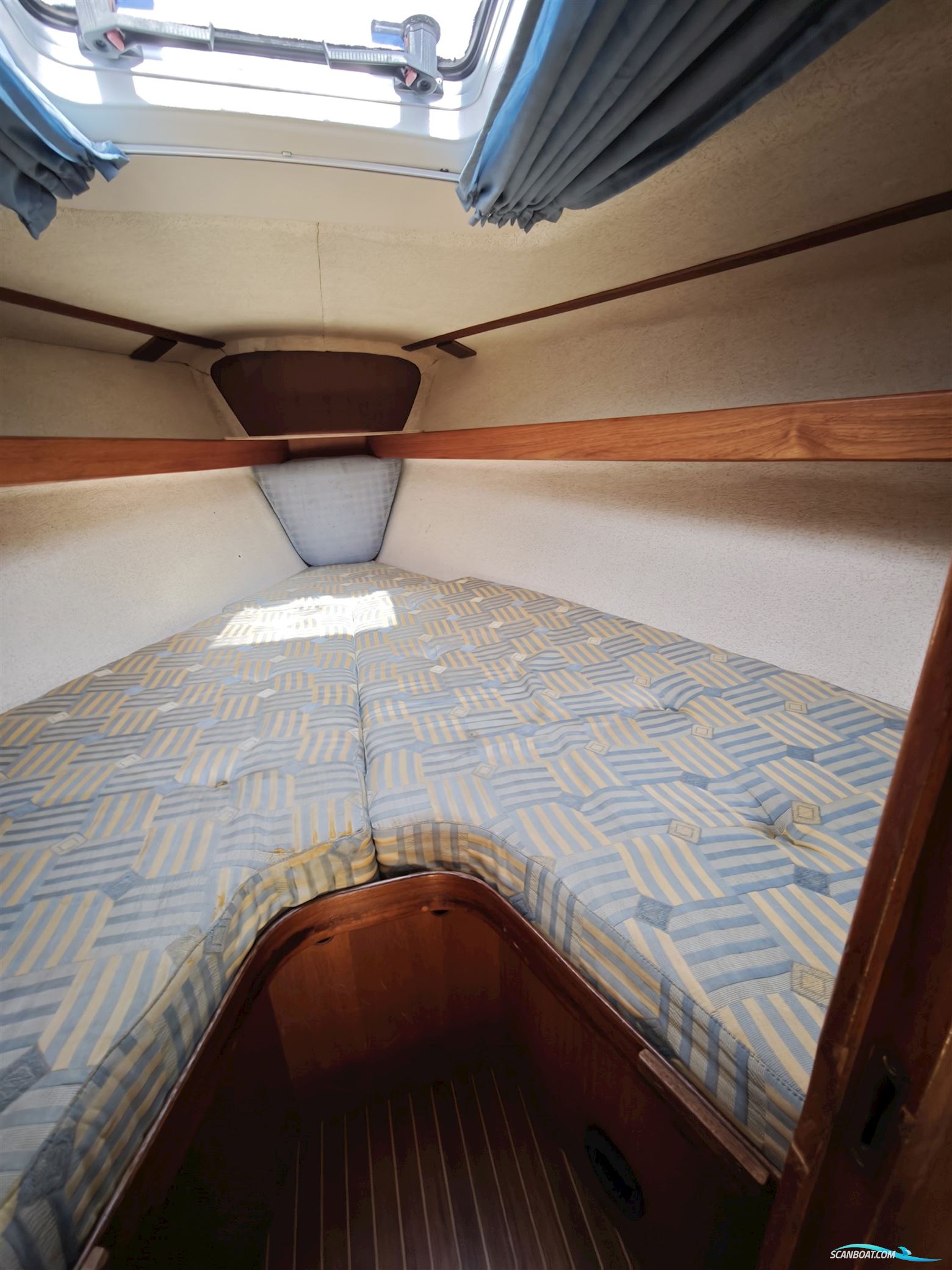 Finngulf 31