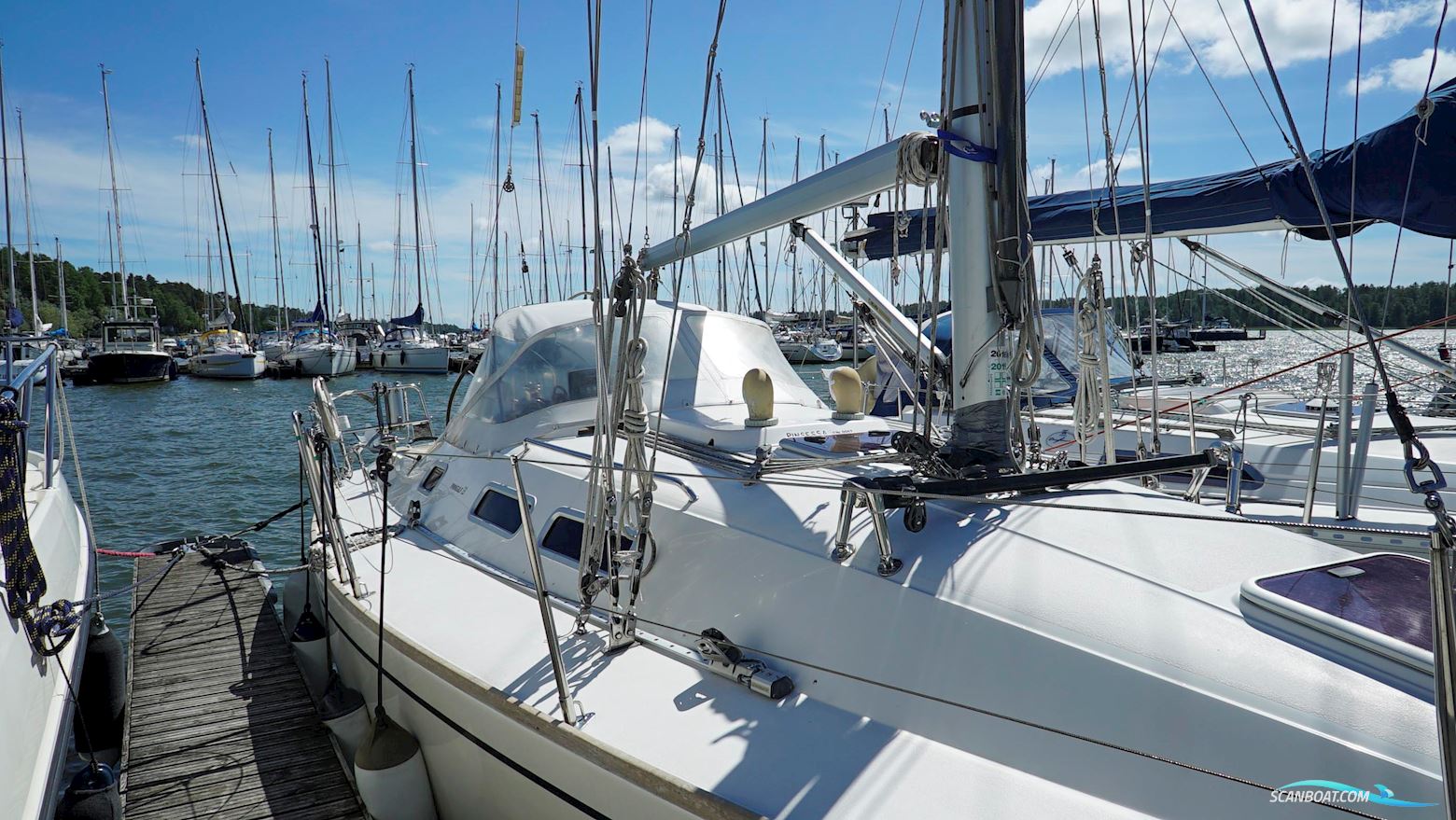 Finngulf 33