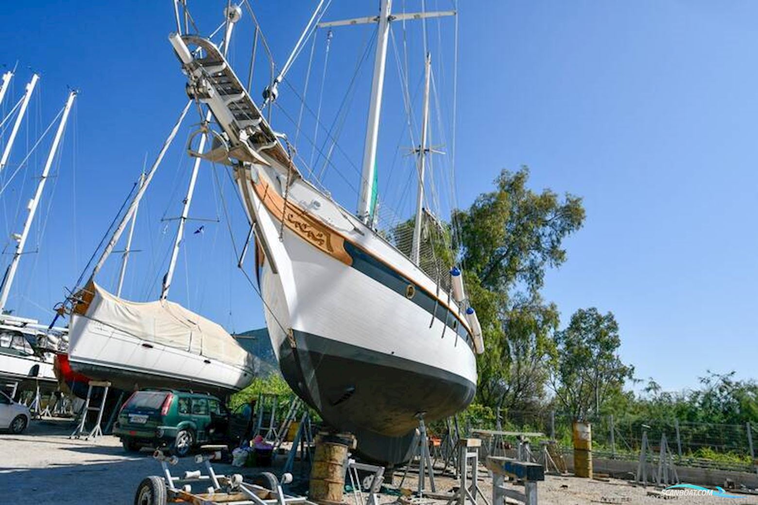 Formosa 51