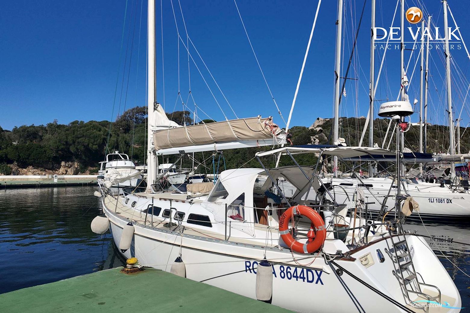 Freedom 38