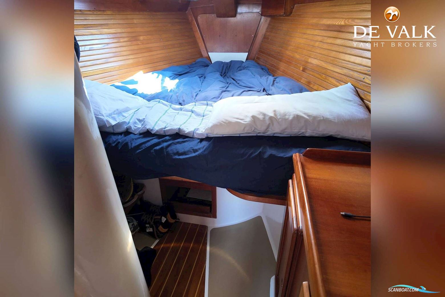 Freedom 38