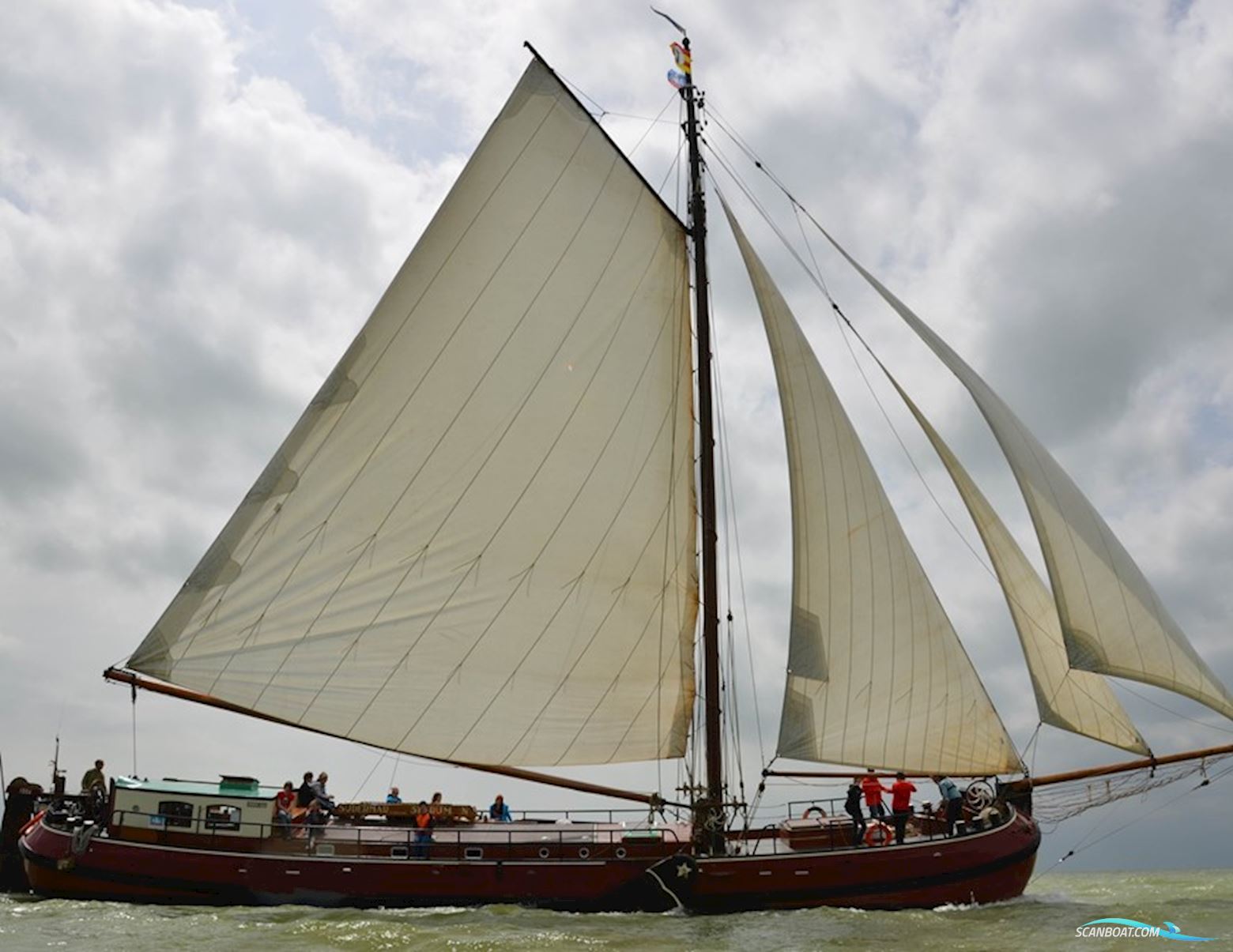 Friese Zeiltjalk 24.70