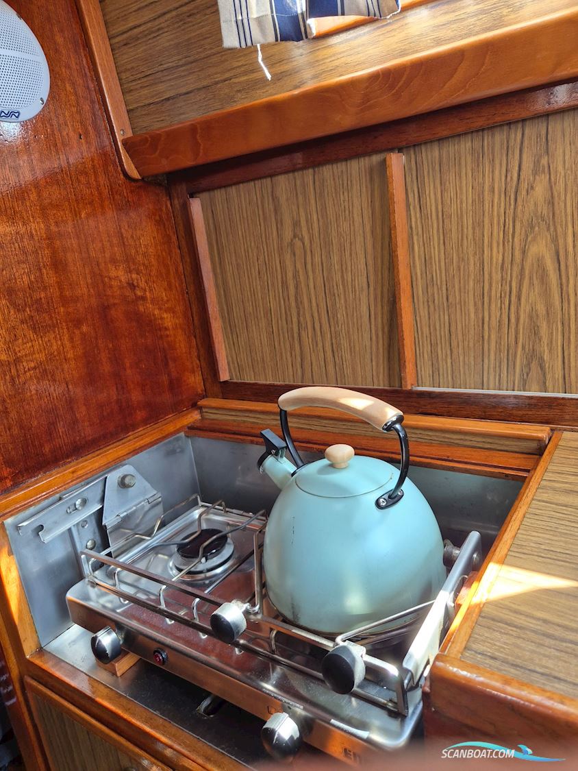 Great Dane 28