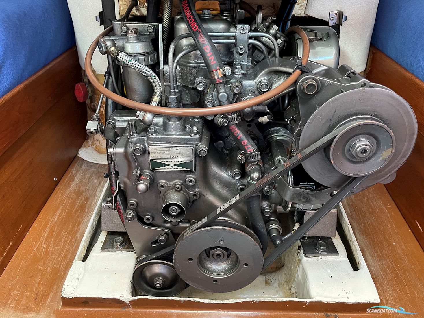 H323