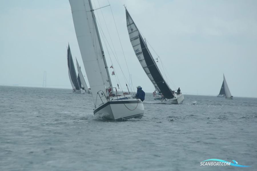 H35 Sailingboat 1978, with Nanni engine, Denmark