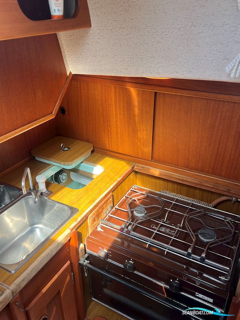 Hallberg-Rassy 29 Scandinavia