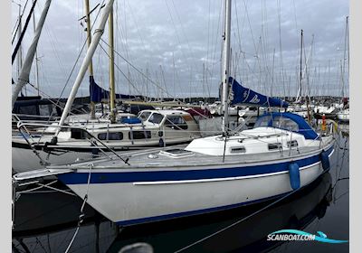 Hallberg Rassy 29 Scandinavia Sailingboat 1984, with Volvo Penta 2002 engine, Denmark