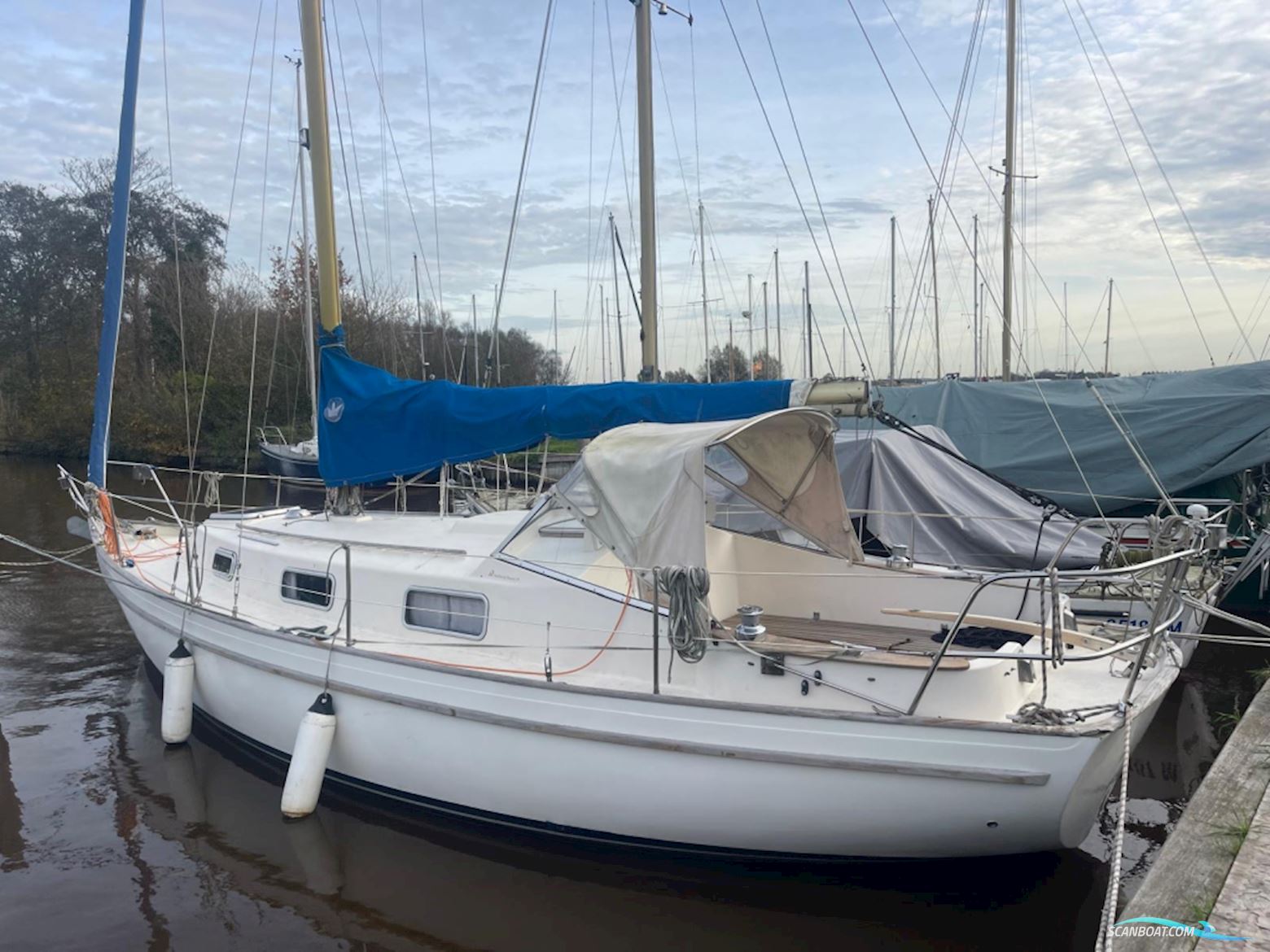 Hallberg Rassy 31 Monsun Sailingboat 1976, with Volvo Penta engine, The Netherlands