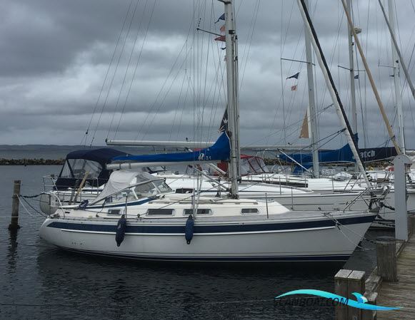 Hallberg Rassy 31 Sailingboat 1984, with Volvo Penta MD 2020 engine, Denmark