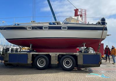 Hallberg Rassy 312 MK 1 Sailingboat 1980, with Volvo Penta MD 11c engine, Germany