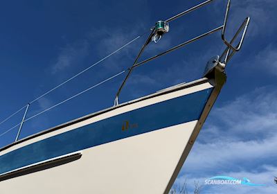 Hallberg Rassy 312 Sailingboat 1981, with Volvo Penta D11C engine, Denmark